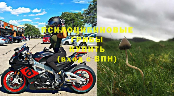 прущая мука Верхний Тагил